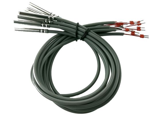 OTO-de Weerstands Micro- van het Klassenb PT100 Platina Temperatuursensor 2 Meterlengte met 6x50mm Roestvrij staal 304 Huisvesting