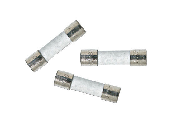 Hoge Brekende Capaciteit 5x20mm van de de Tijdvertraging van de Metalen kap de Langzame Slag van de de Buiszekering Ceramische Verbinding 4A 125VAC voor Witte Goederen