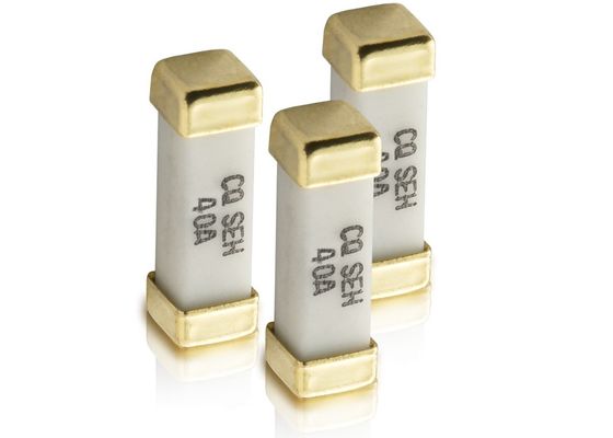 12.3x4.45x4.45mm ZIJ van de de Kappensmd Zekering 60V 40A van het Reeksgoud Geplateerde Messing Vierkante Ceramisch voor de Macht van het Opslagsysteem